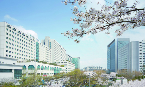 2017 ASAN MEDICAL CENTER 13