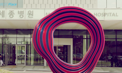 Outside Hospital Sejong